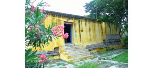 வித்ய வீனித பல்லவ பரமேஸ்வரர் 